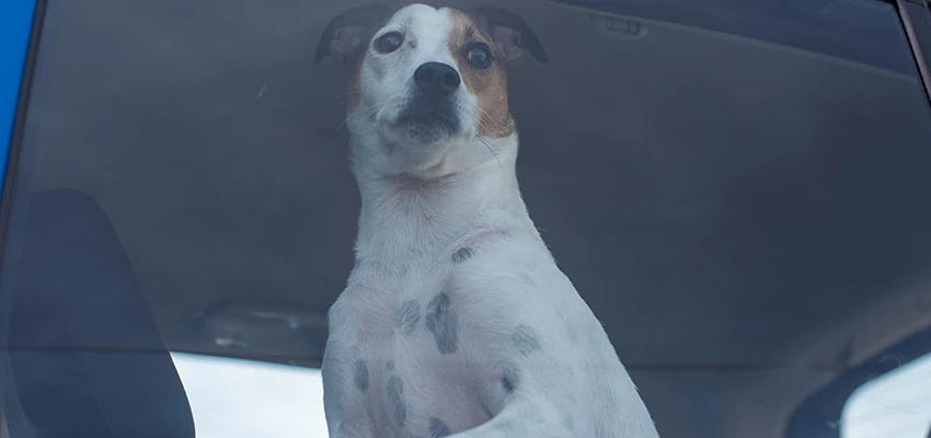 Car Lockout Solutions in Huntington Park, California